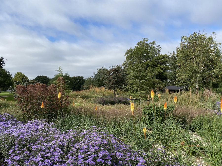Sustainable planting design